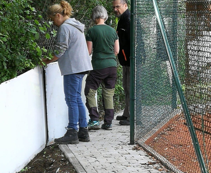 Drei Personen am Gehweg neben Hecke und Maschendrahtzaun
