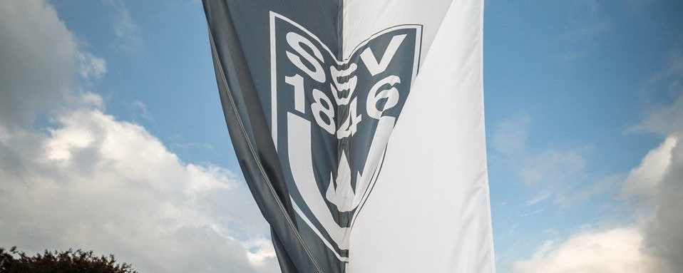Schwarz-weiß geteilte Fahne mit Wappen an Fahnenmast vor Parklandschaft
