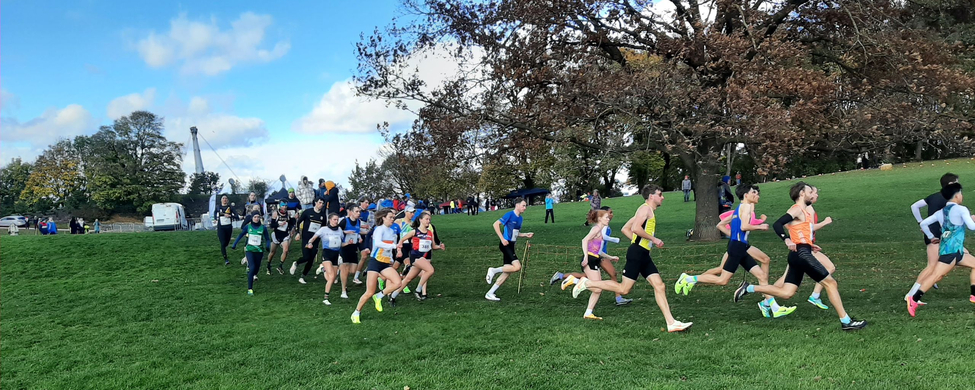 Gruppe von Läuferinnen und Läufern beim Crosslauf über Hügel