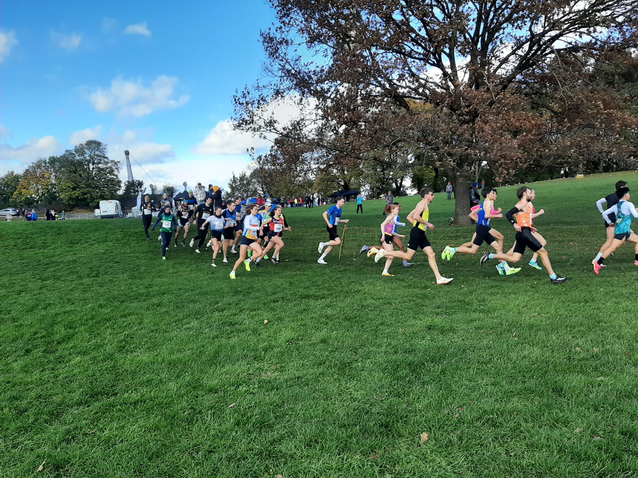 Gruppe von Läuferinnen und Läufern beim Crosslauf über Hügel