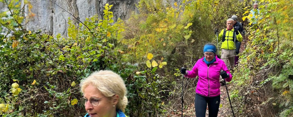 Teilnehmende eines Nordic-Walking-Workshops auf schmalem Pfad vor Felswand
